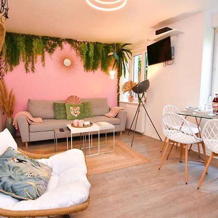 Le Nid Cosy - En Plein Coeur De Selestat Apartamento Exterior foto