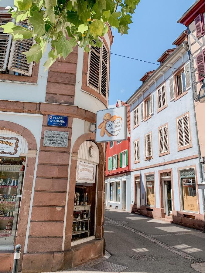 Le Nid Cosy - En Plein Coeur De Selestat Apartamento Exterior foto